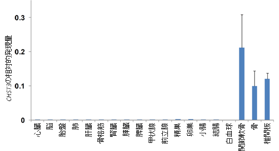 さまざまなヒト組織でのCHST3遺伝子の発現量の図