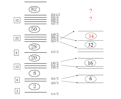 安定核での殻構造（左）と中性子過剰核での殻構造（右）の図