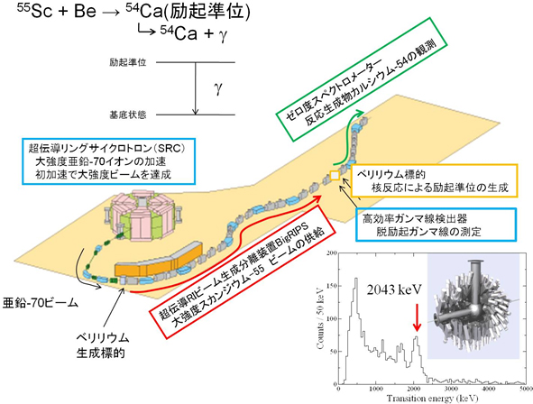 実験の概略図の画像