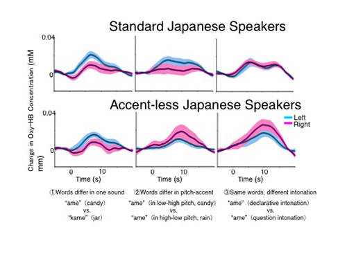 Graph showing brain activity in the right and left hemispheres of different speakers