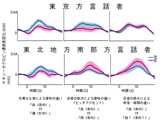 3つの条件の言語音声を聞いた時の各方言話者の脳反応の図