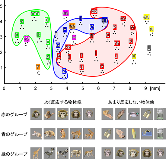 神経活動の記録部位と反応性に基づいたグループ分けの図