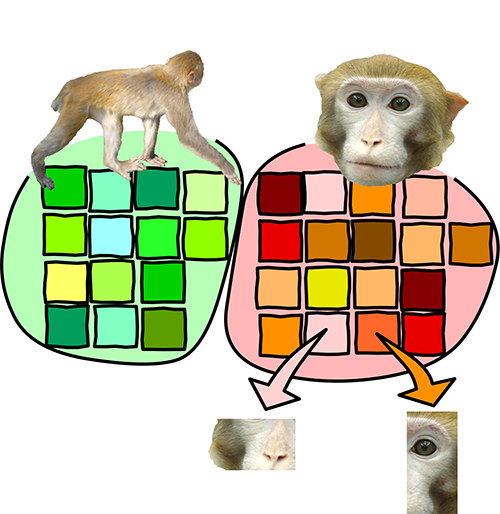 モザイク画構造の模式図の画像