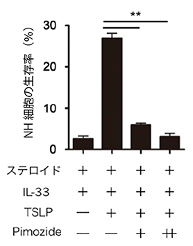 ピモジドによるNH細胞のステロイド抵抗性の消失の図