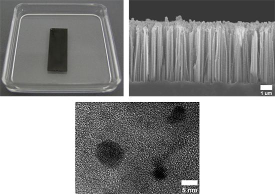 シリコンナノワイヤーアレイ担持パラジウム触媒の写真