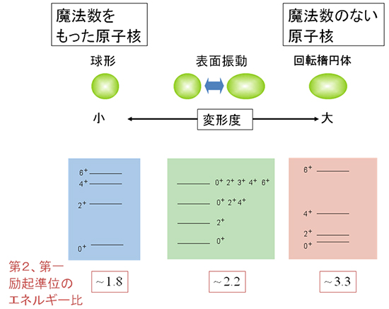 原子核の魔法数と集団性の図