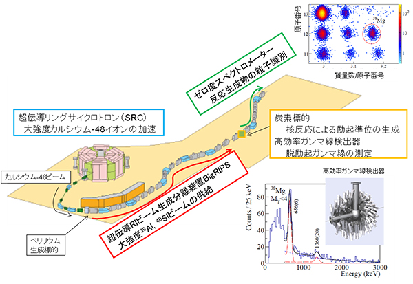 実験の概略図の画像