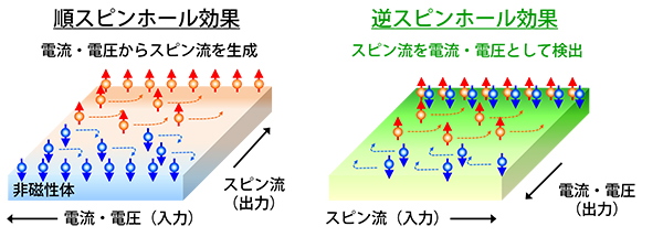 順/逆スピンホール効果の模式図の画像