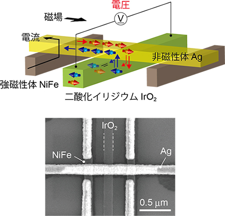 測定に用いた素子の模式図(上図)と走査型電子顕微鏡像(下図)の画像