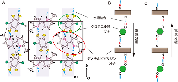 新しく開発した常温有機強誘電体の結晶構造と電気分極メカニズムの図