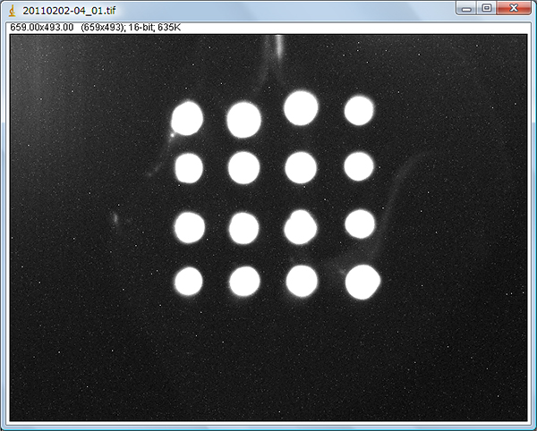 CCDカメラで撮影したマイクロアレイ画像（抗ウイルス抗体）の図