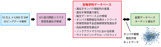 今回の研究の概要の図