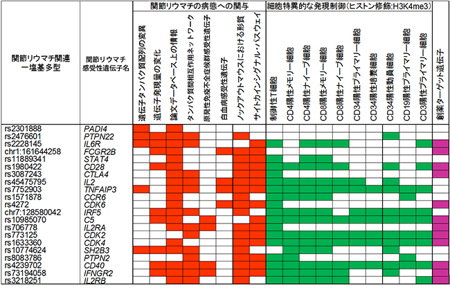 同定した関節リウマチ感受性遺伝子の一例の図