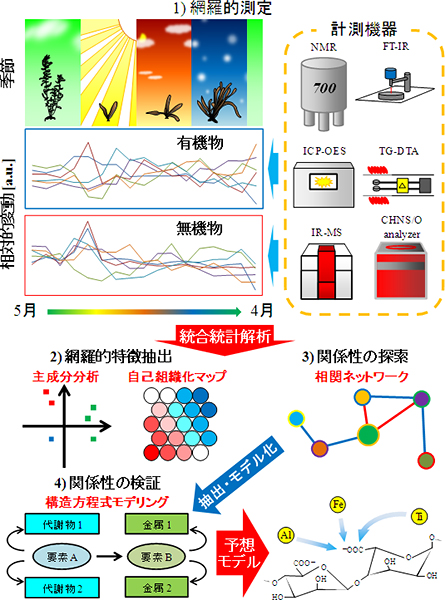 天然ヒジキに対する計量化学的手法の模式図の画像(1)網羅的測定、(2)網羅的特徴抽出、(3)関係性の提案、(4)関係性の検証