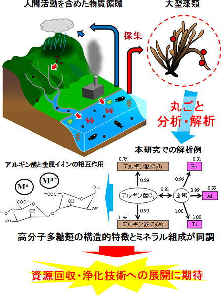 自然環境から有用資源の発掘を表す図