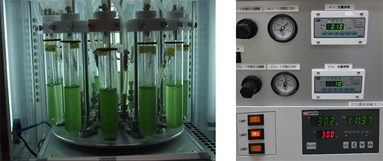 独自に開発したラン藻培養装置の写真