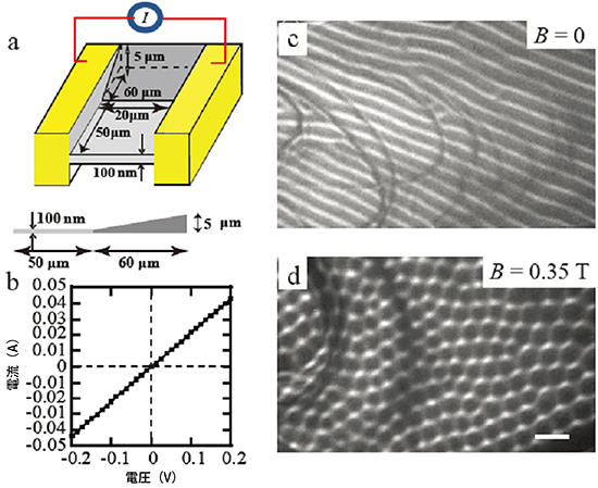 マイクロ素子と素子の電流/電圧特性、および素子中で観察された磁区構造の図