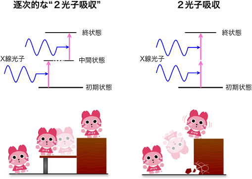 逐次的な2光子吸収と本実験の2光子吸収の図
