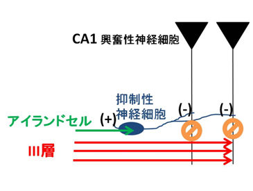 モデル図の画像