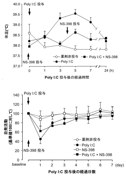 Poly I:Cを末梢組織に投与したラットの発熱と自発活動の低下の図