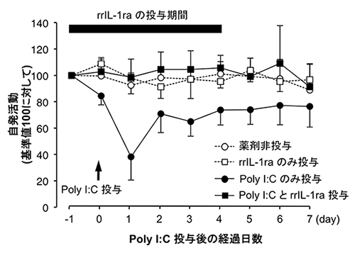 IL-1受容体アンタゴニストの脳内投与は自発活動の回復を促進するの図