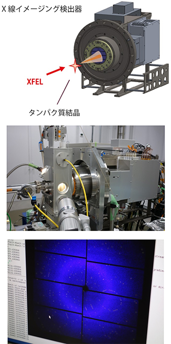 開発したX線イメージング検出器を用いたタンパク質構造解析実験の様子の写真