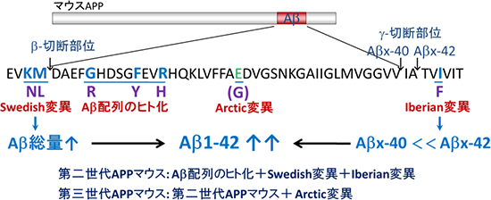 次世代型アルツハイマー病モデルマウス作製のためのコンセプトの図