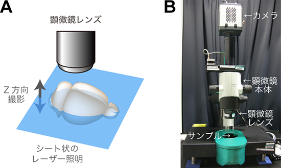 シート照明顕微鏡の図