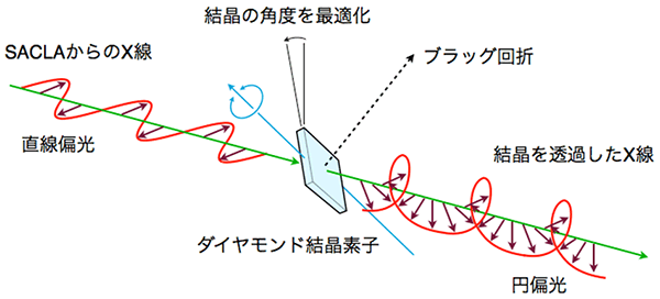 ダイヤモンド結晶による偏光状態変換の模式図の画像