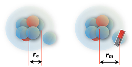 中性子ハロー核11Beの模式図の画像
