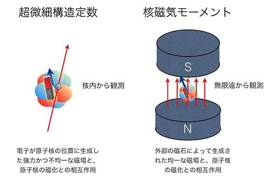 超微細構造定数と核磁気モーメントの相違の図