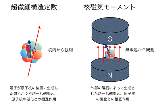 中性子ハロー核11beの超微細構造定数の精密測定 理化学研究所