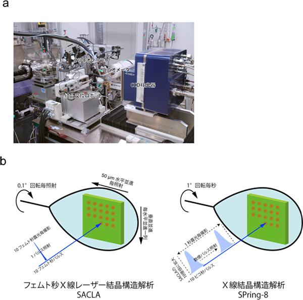 フェムト秒Ｘ線レーザー結晶構造解析の回折実験装置と回折写真撮影のコンセプトの図