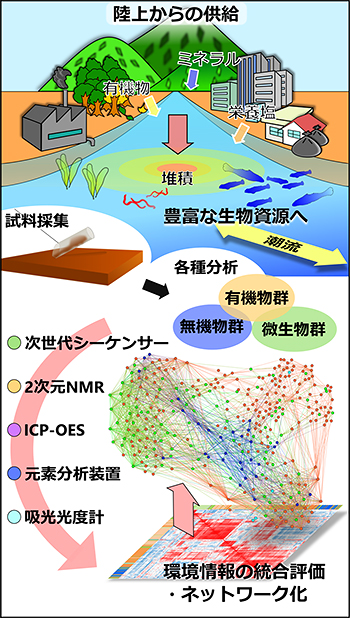 河口底泥試料の有機・無機・微生物群の統合ネットワーク解析の図