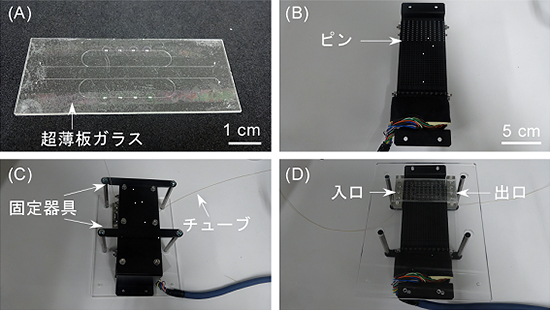 今回開発したマイクロ流体チップ内電動ポンプの写真
