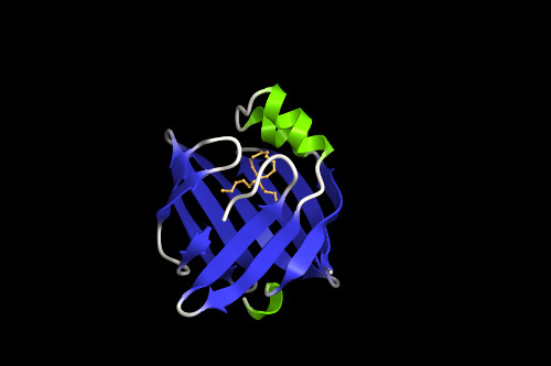 3D structure of FABP7