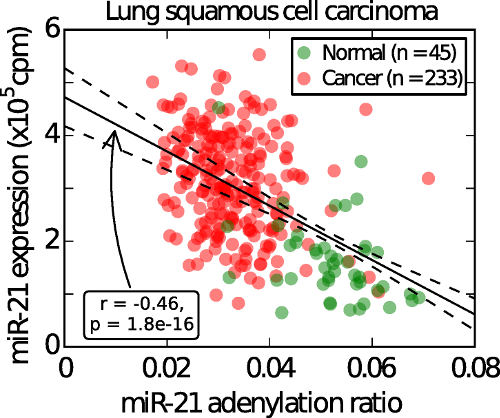 graph showing higher miR-21 associated with lung cancer 