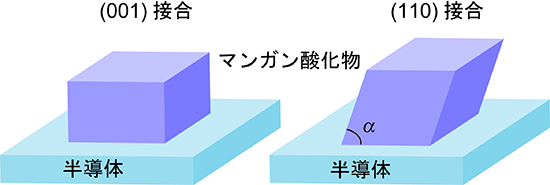 (001)接合と(110)接合でペロブスカイト型マンガン酸化物に生じる格子歪みの図