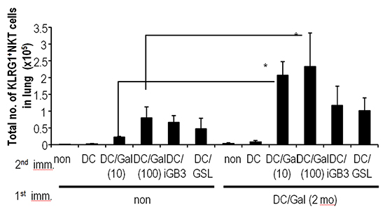 DC/Gal、DC/iGB3、DC/GSL投与後の肺内のKLRG1+NKT細胞数の図