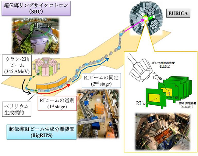 実験装置の全体像の図