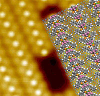銅表面上のジアリールエテン分子‐ナトリウムイオン超構造のSTM像と分子モデル図