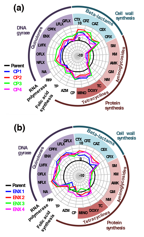 examples of cross resistance and cross susceptibility