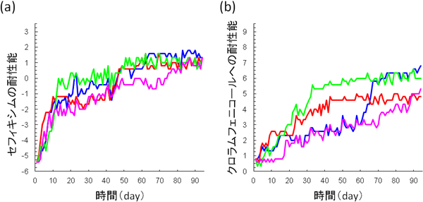 抗生物質添加環境での進化実験結果の例の図