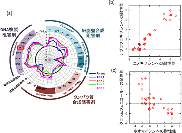 さまざまな抗生物質への耐性能の解析の図