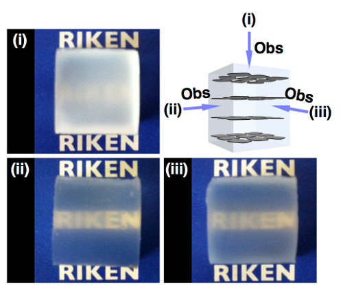 optical properties of the hydrogel