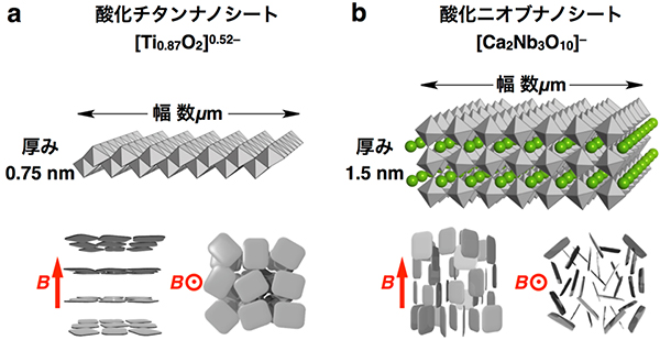 磁場に対して配向するナノシートの図