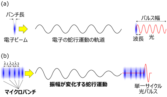 波長よりバンチ長が短い電子ビームからの光の放射と、マイクロバンチがある規則に従って並んだ電子ビームからの光の放射の比較の図