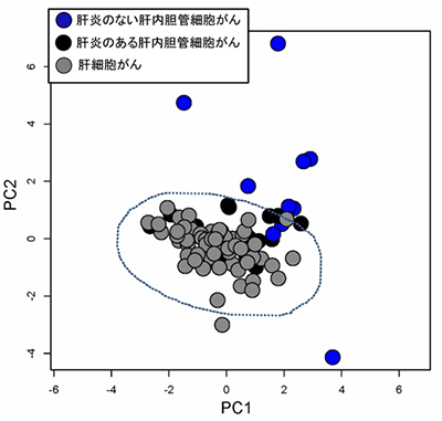 塩基置換パターンに基づく、肝内胆管がんと肝細胞がんのゲノム全体でみた変異パターンの類似状況の図