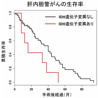 IDH遺伝子の変異の有無と肝内胆管がんの生存率の図