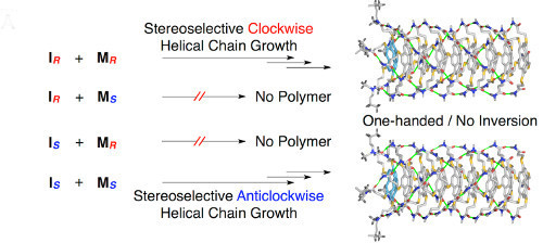 Schematic representation of stereo-selective chain-growth supramolecular polymerization